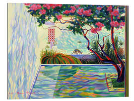 Gallery print Cat in the Mexican garden