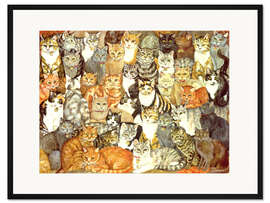 Gerahmter Kunstdruck Katzen