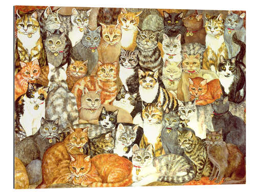 Gallery print Cats