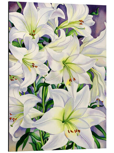 Aluminium print White lilies, 2008