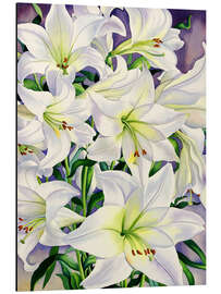 Aluminium print White lilies, 2008