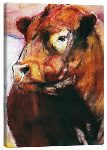 Canvas print portrait of a bull