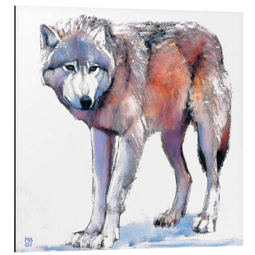 Aluminium print Wolf II