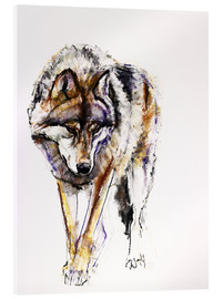 Tableau en verre acrylique  Loup européen - Mark Adlington