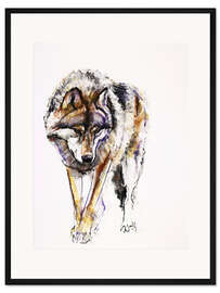 Gerahmter Kunstdruck europäischer Wolf
