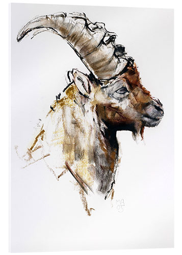 Obraz na szkle akrylowym Ibex III