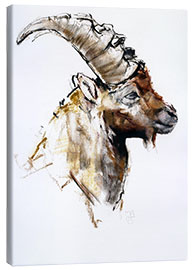 Canvas print Ibex III