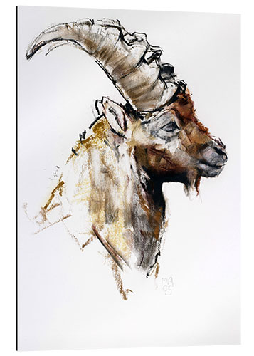 Gallery Print Steinbock III