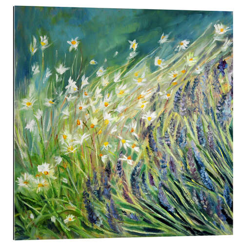 Gallery print Lavender and daisies, 2010