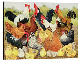 Aluminium print Chicken family - Pat Scott