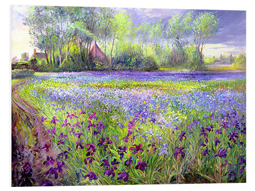 Foam board print Field of wildflowers III