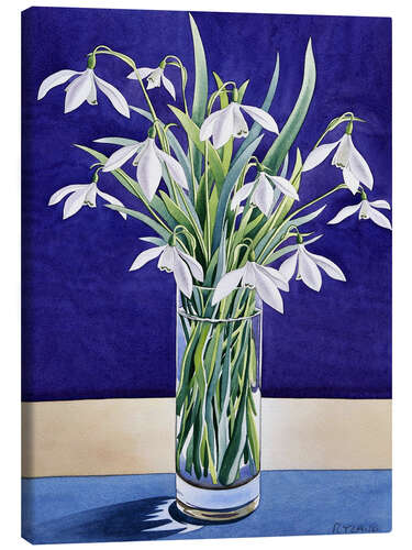 Canvas print Snowdrops