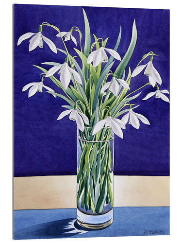 Gallery print Snowdrops