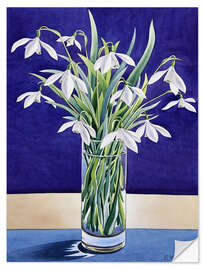 Selvklebende plakat Snowdrops