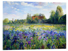 Akryylilasitaulu  Field of flowers in the sunset - Timothy Easton