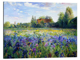 Magnettafel Blumenfeld im Sonnenuntergang