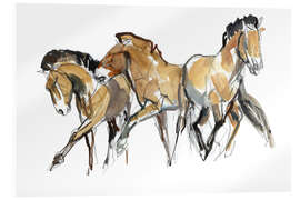 Acrylic print Herd of horses