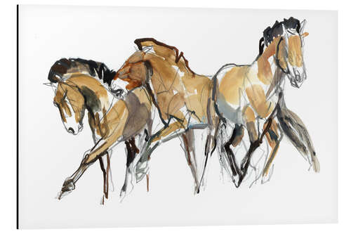 Aluminium print Herd of horses