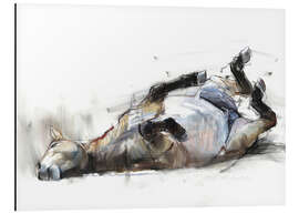 Magnettafel Wälzendes Pferd