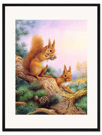 Gerahmter Kunstdruck Rote Eichhörnchen auf einer schottischen Kiefer