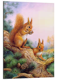 Magnettafel Rote Eichhörnchen auf einer schottischen Kiefer