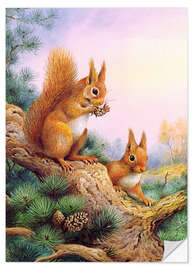 Selvklebende plakat Pair of Red Squirrels on a Scottish Pine