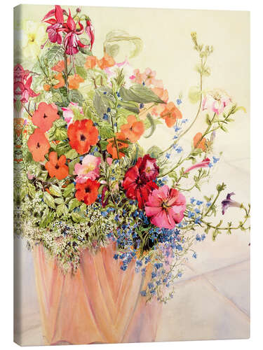 Canvas print Petunia's, lobelia, pluizige hagedissen en fuchsia's in de terracotta pot