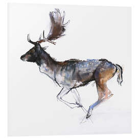 Foam board print Galloping Buck