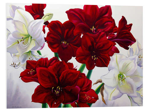 Quadro em PVC Amaryllis vermelho e branco, 2008