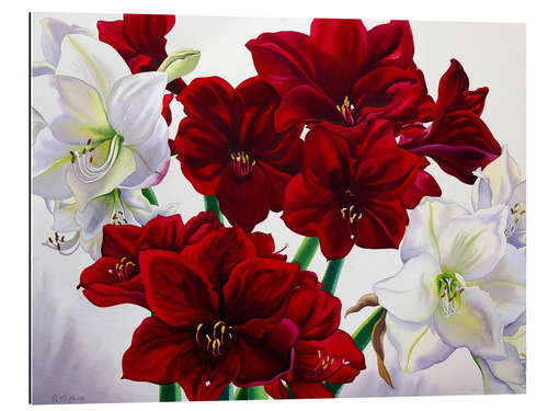 Tableau en plexi-alu Amaryllis rouges et blancs