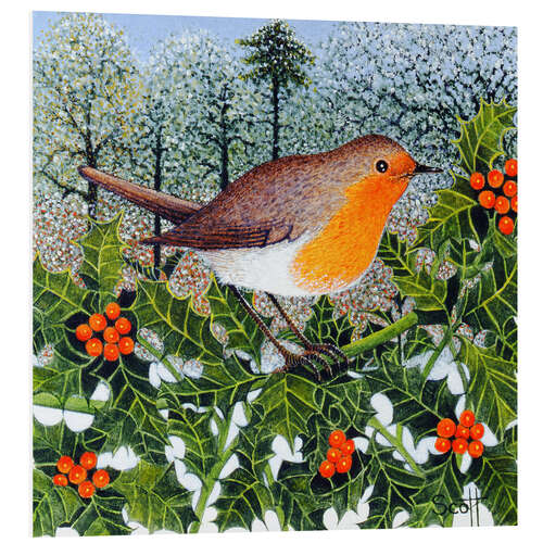 Foam board print Robin on the Beer Branch