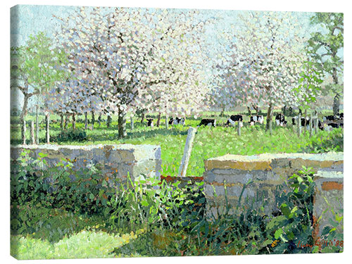 Canvastavla Cows in the Orchard