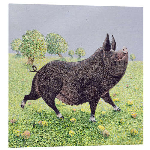 Obraz na szkle akrylowym Proud Pig