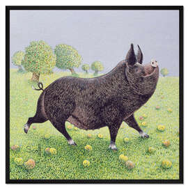 Gerahmter Kunstdruck Stolzes Schwein