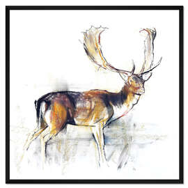 Gerahmter Kunstdruck Studie eines Hirsches
