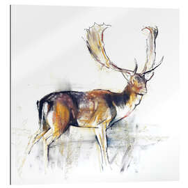 Gallery print Study of a Stag