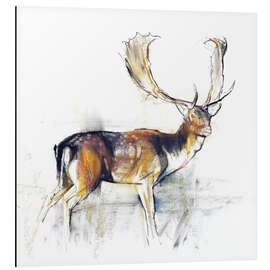 Magnettafel Studie eines Hirsches