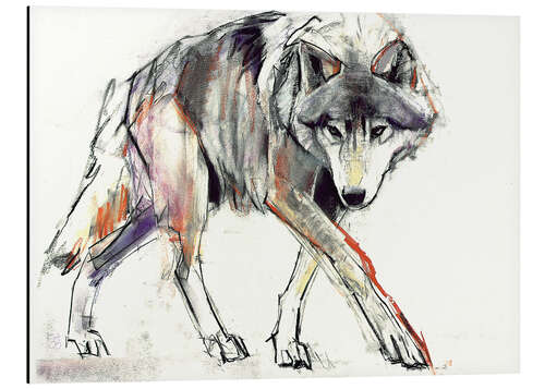 Aluminium print Wolf in search