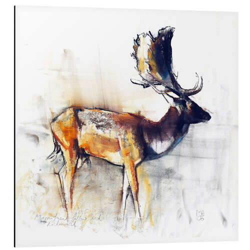 Aluminium print Fallow buck