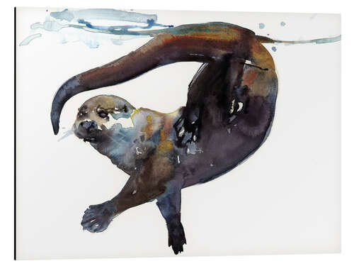 Cuadro de aluminio Sea otter in the water