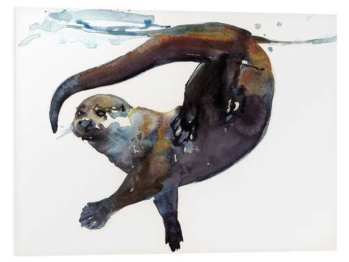 PVC-taulu Sea otter in the water