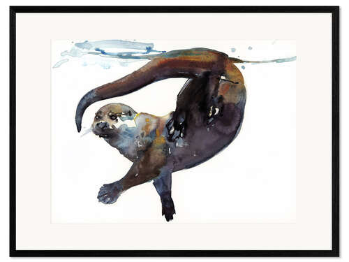 Framed art print Sea otter in the water