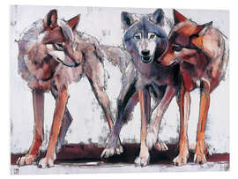 Foam board print Pack of wolves