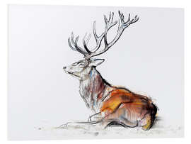 Stampa su PVC Lying Stag