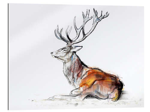 Gallery print Lying Stag