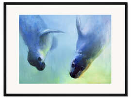 Gerahmter Kunstdruck Zwei Seerobben