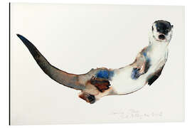 Magnettafel Seeotter