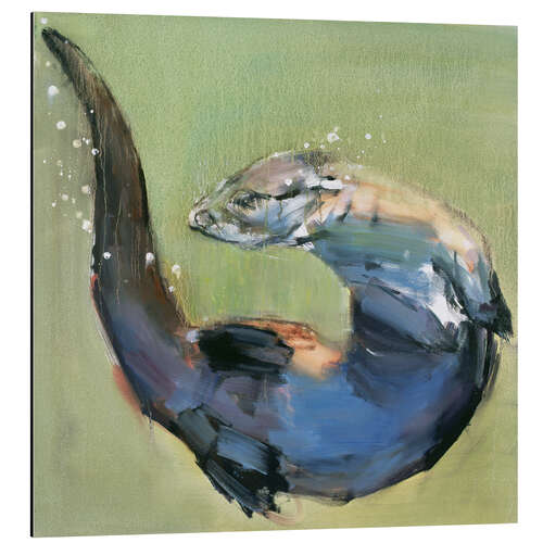 Alubild Otter dreht Pirouette