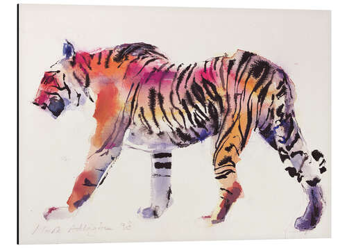 Aluminium print Tiger