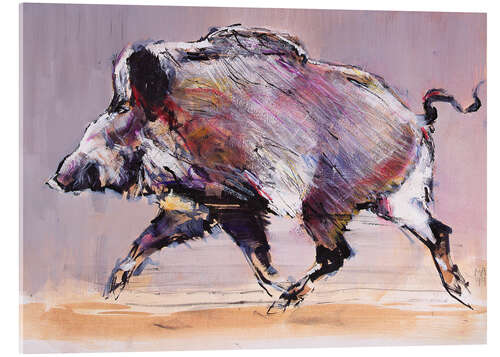 Acrylic print Running boar